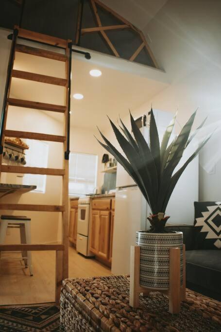Agave Tiny House At Cactus Flower-Hot Tub-Pet Friendly-No Pet Fees! Albuquerque Buitenkant foto
