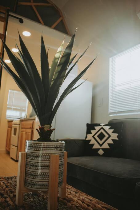 Agave Tiny House At Cactus Flower-Hot Tub-Pet Friendly-No Pet Fees! Albuquerque Buitenkant foto